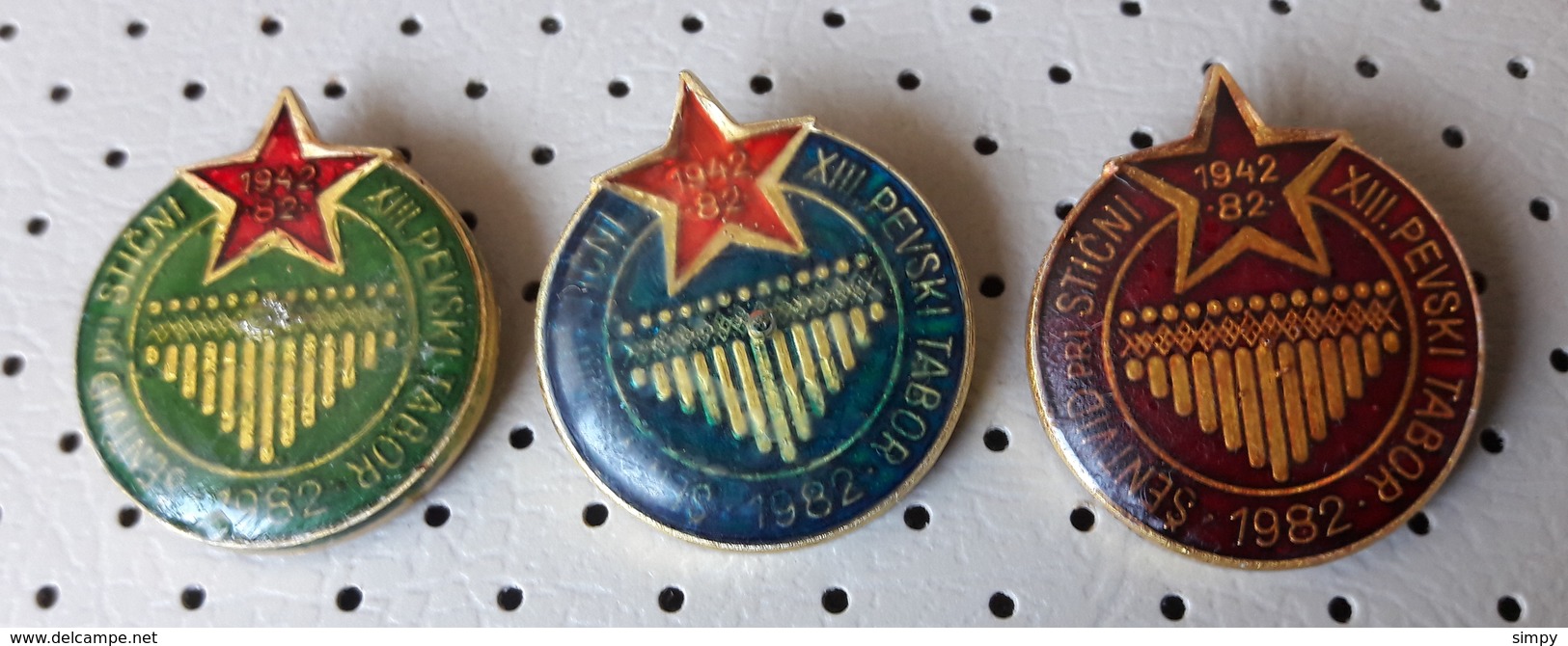 13. Singing Choir Cultural Camp Sentvid Pri Sticni 1982 Musical Instrument Organ Slovenia Pins - Musique