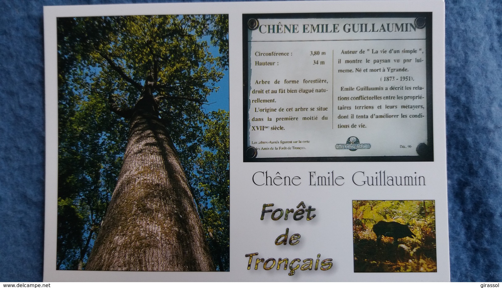 CPM ARBRE FORET DE TRONCAIS LE CHENE EMILE GUILLAUMIN SANGLIER  BICHE ED DU LYS - Arbres