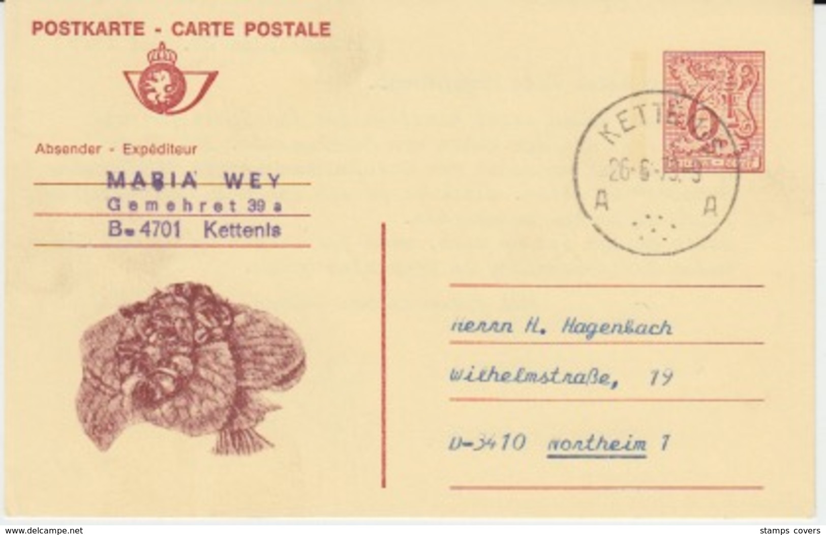 BELGIUM USED CARTE POSTALE LION HERALDIQUE KETTENIS NORTHEIM - Cartes Postales 1951-..