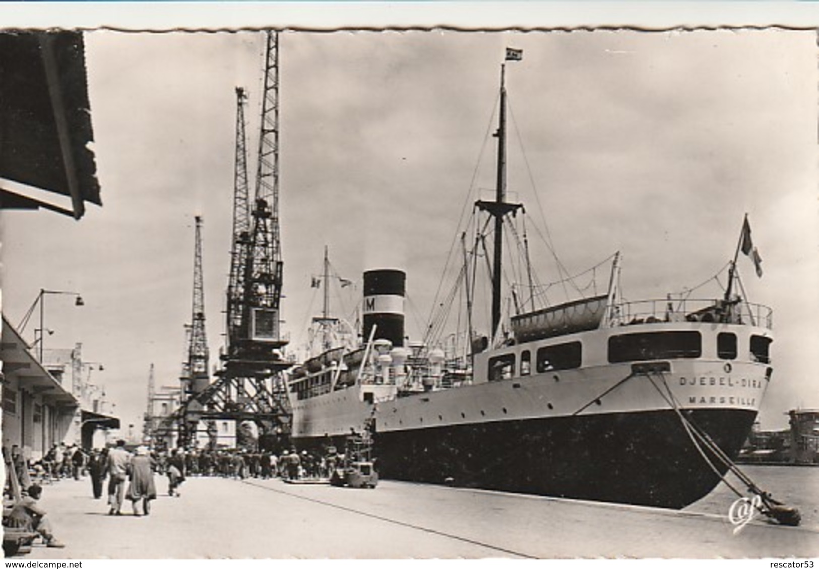 Rare Cpa Le Bateau Le Djebel-Dira Venant De France Débarquant à Bône - Sonstige & Ohne Zuordnung