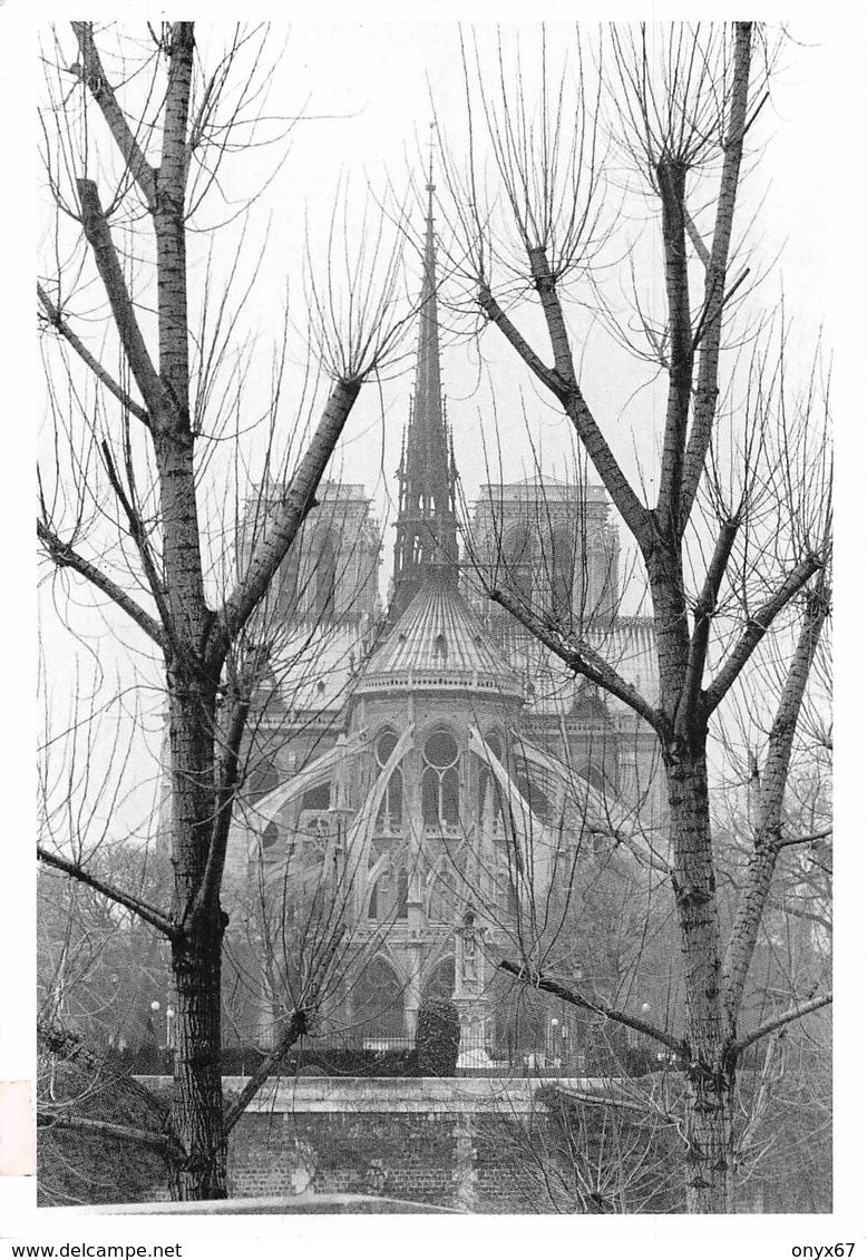 Carte GRAND FORMAT PARIS-75-Cathédrale Notre-Dame 1163-1260-Flèche Brulée 15-04-2019-Eglise-Religion - Eglises