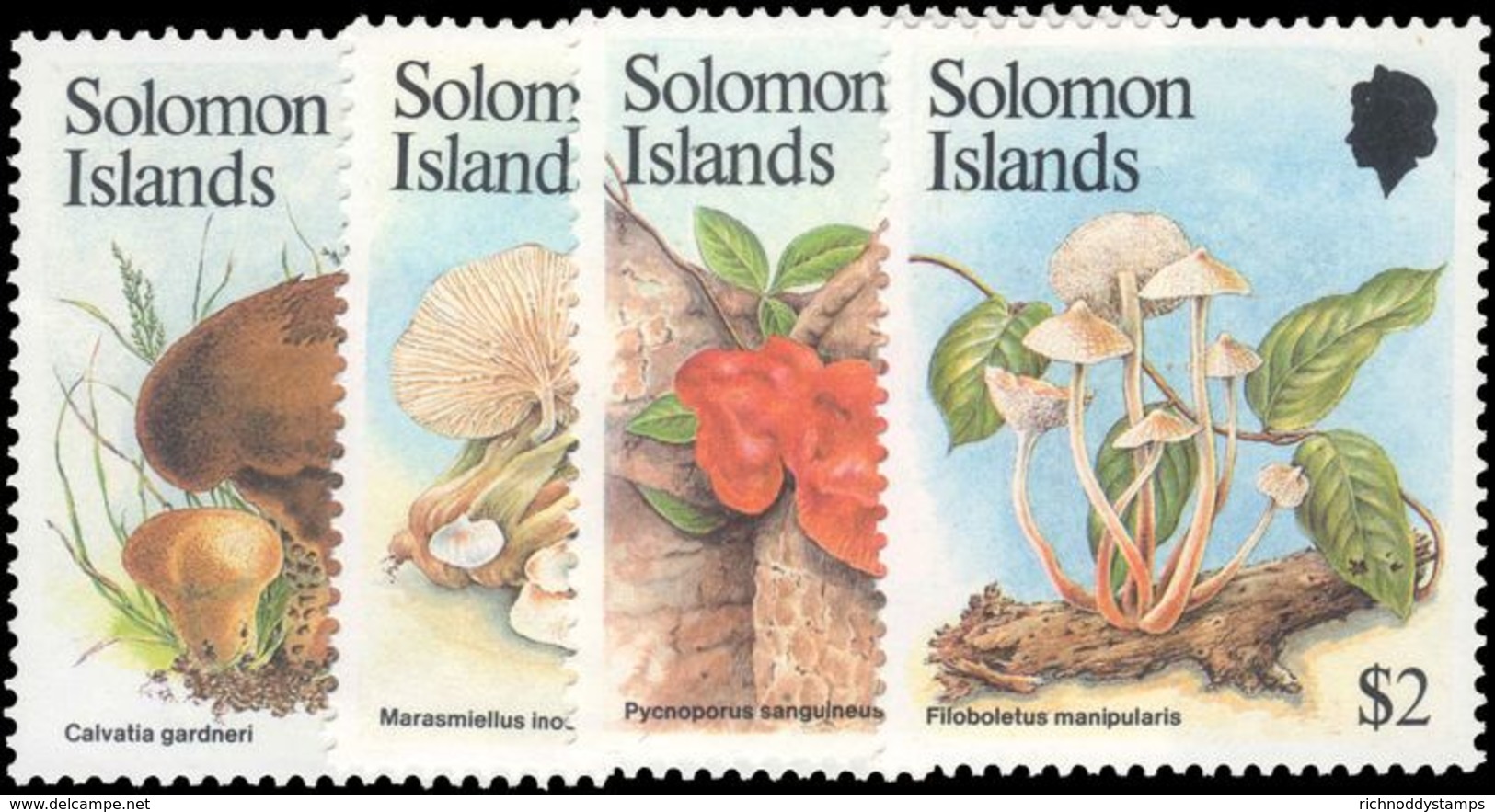 Solomon Islands 1984 Fungi Unmounted Mint. - Solomon Islands (1978-...)