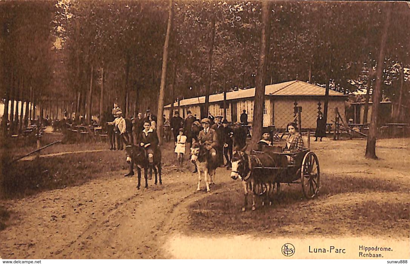 Kapelle-op-den-Bos - Luna-Parc Hippodome Renbaan (animation Ezel ânes) - Kapelle-op-den-Bos