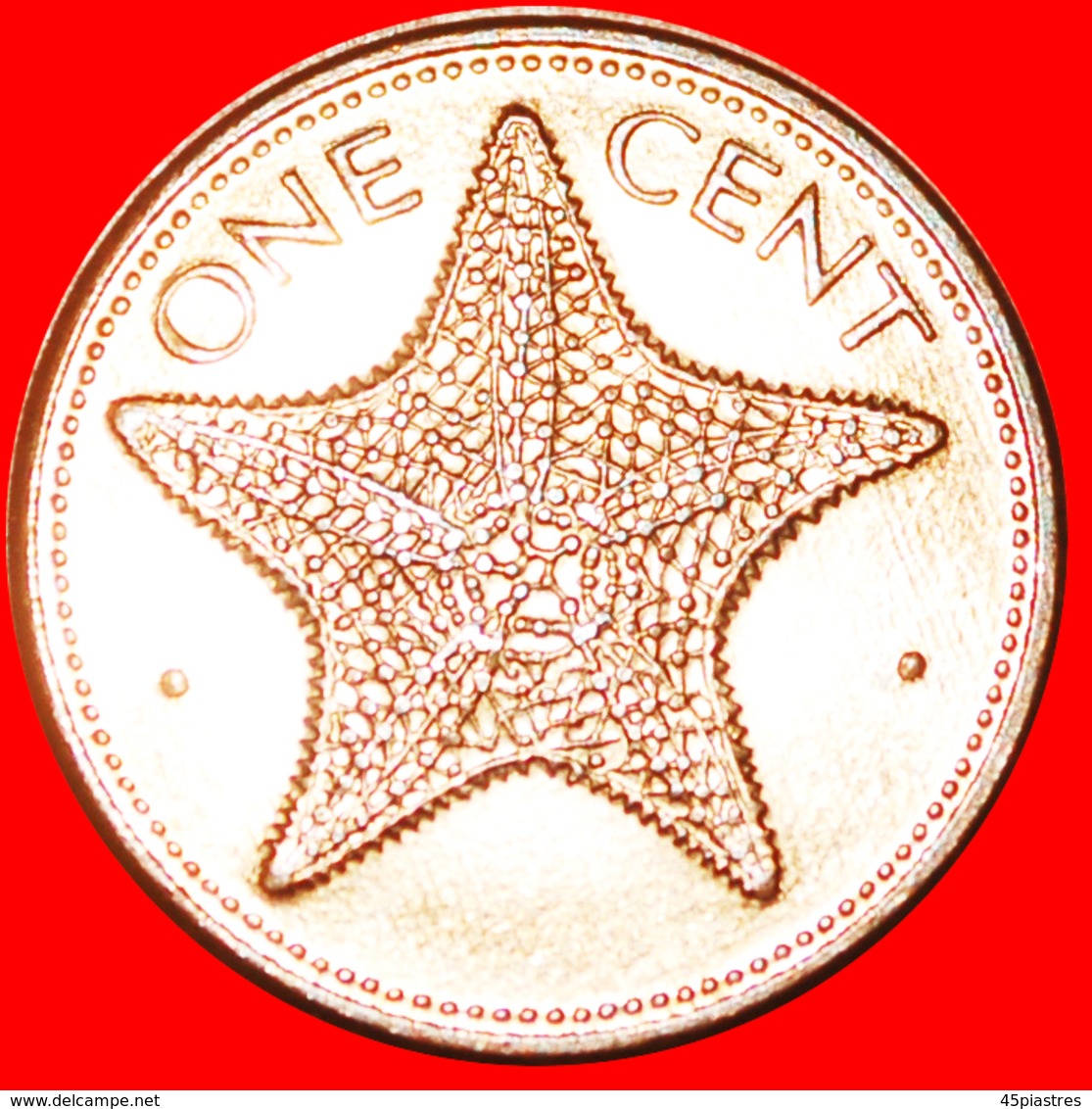 + STARFISH (1985-2004): THE BAHAMAS ★ 1 CENT 1987 MINT LUSTER! LOW START ★ NO RESERVE! - Bahamas