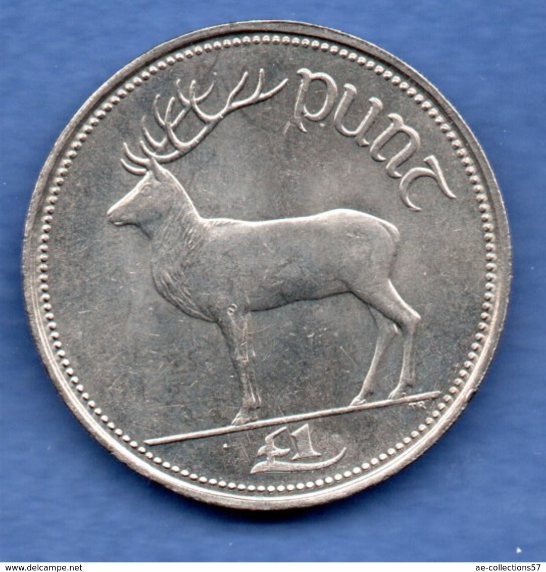 Irlande   - 1 Pound 1990  - Km # 27-   état  SUP - Irlande