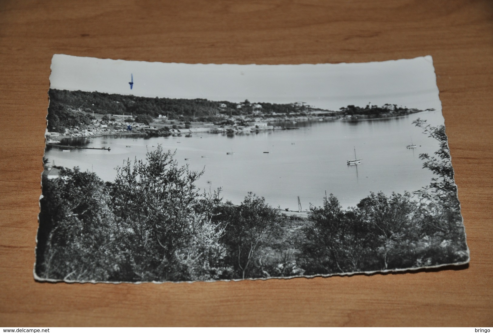 9086-    AGAY, LA BAIE ET VUE SUR LE CAMPING AGAY-SOLEIL - Otros & Sin Clasificación