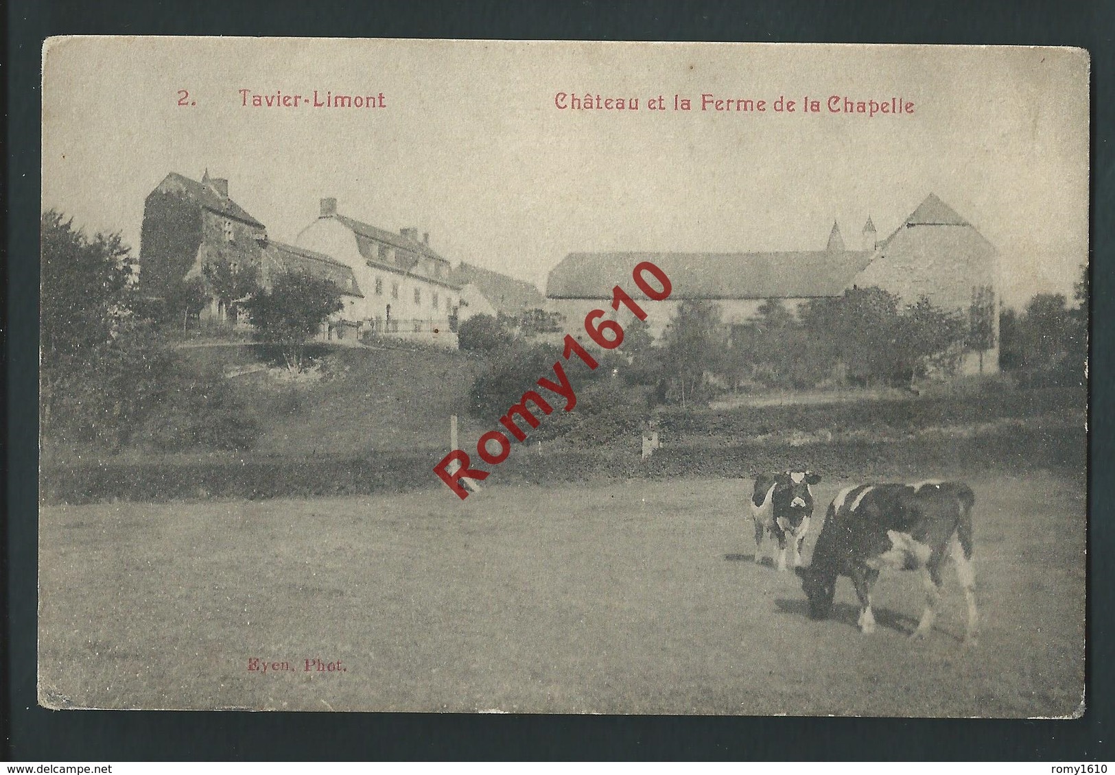 Tavier-Limont.  ( Anthisnes) Le Château Et La Ferme De La Chapelle. Vaches.    2 Scans . - Anthisnes