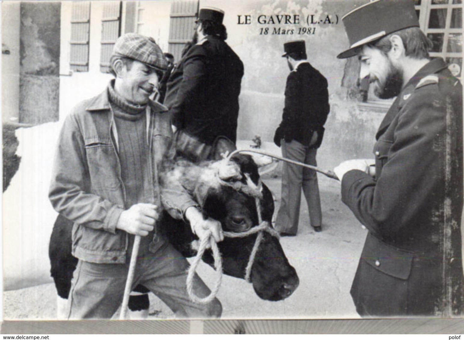 LE GAVRE - 18 Mars 1981   - Evénements - Marquage Des Betes A Cornes  (113264) - Le Gavre