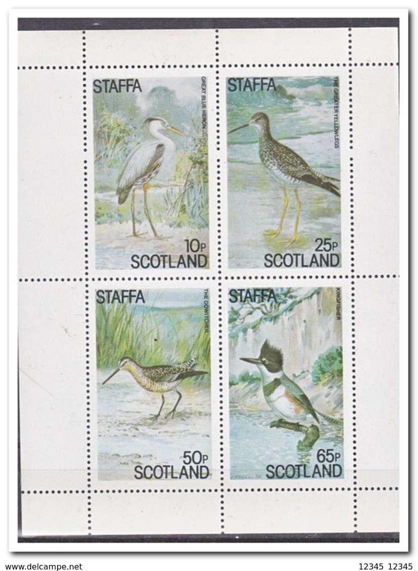 Staffa, Postfris MNH, Birds - Schotland