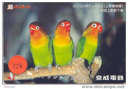 PERROQUET Parrot PAPAGEI Papagaai Carte (128) - Loros