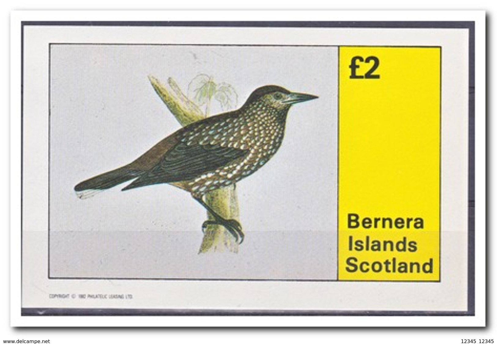 Bernera Islands 1982, Postfris MNH, Birds - Schotland