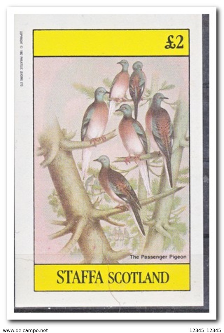 Staffa 1982, Postfris MNH, Birds - Schotland