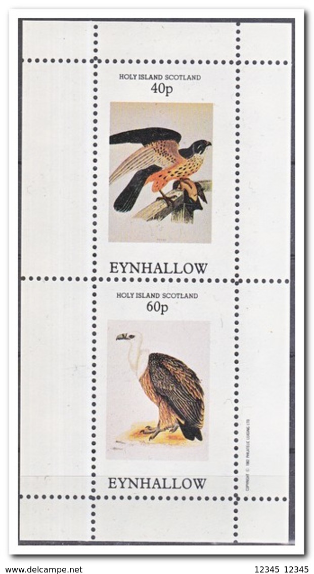 Eynhallow 1982, Postfris MNH, Birds Of Prey - Schotland