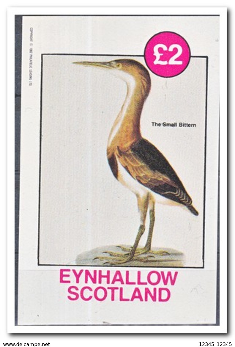 Eynhallow 1982, Postfris MNH, Birds - Schotland