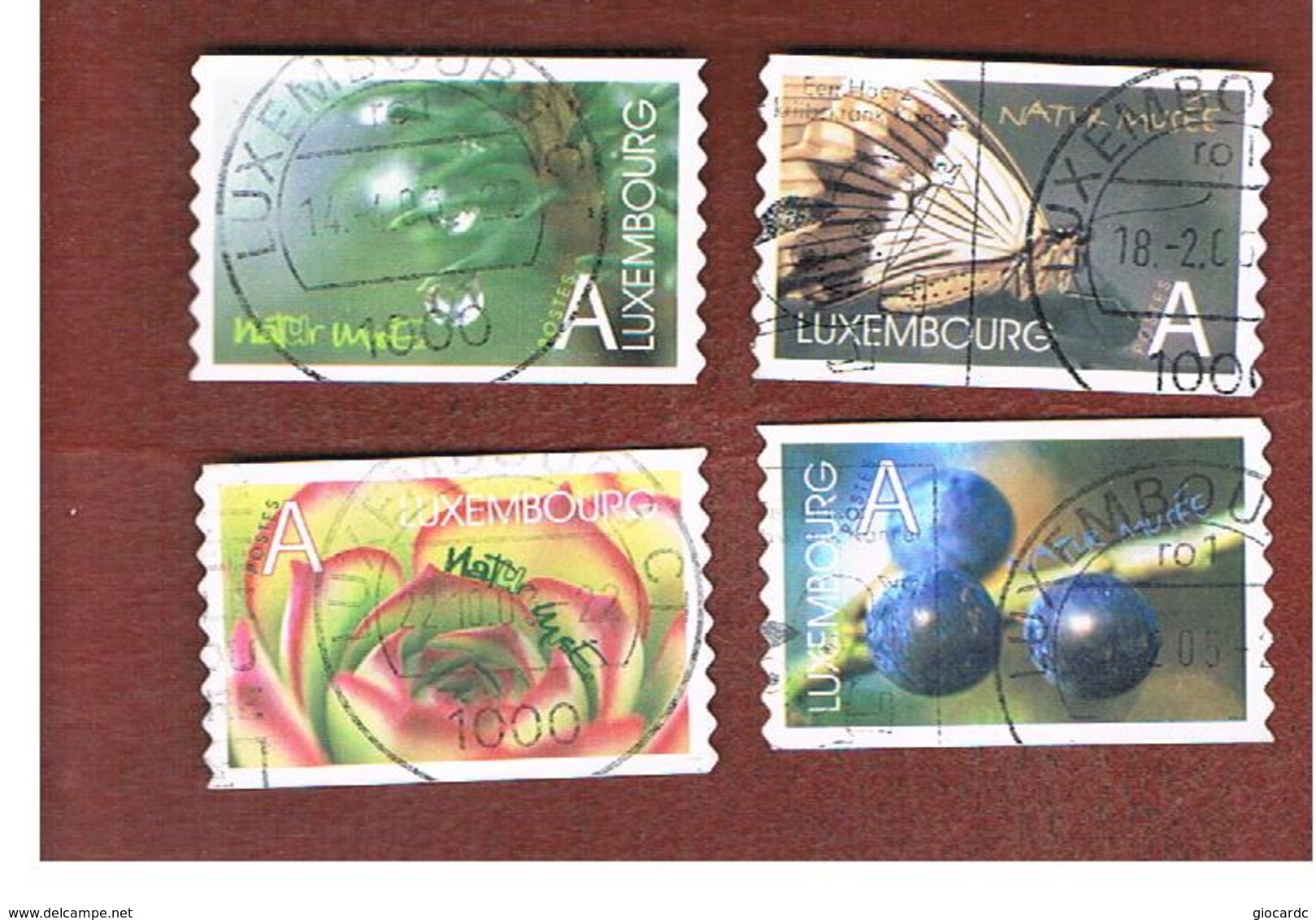 LUSSEMBURGO (LUXEMBOURG)   -   SG 1625.1628  -   2002  NATURAL HISTORY MUSEUM (COMPLET SET OF 4)      -  USED - Usati