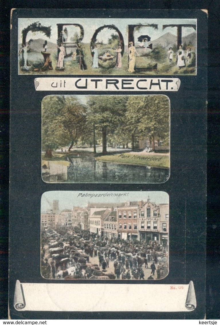 Utrecht - Groet Uit Palmpaardenmarkt Park Nieuweroord- 1907 - Utrecht