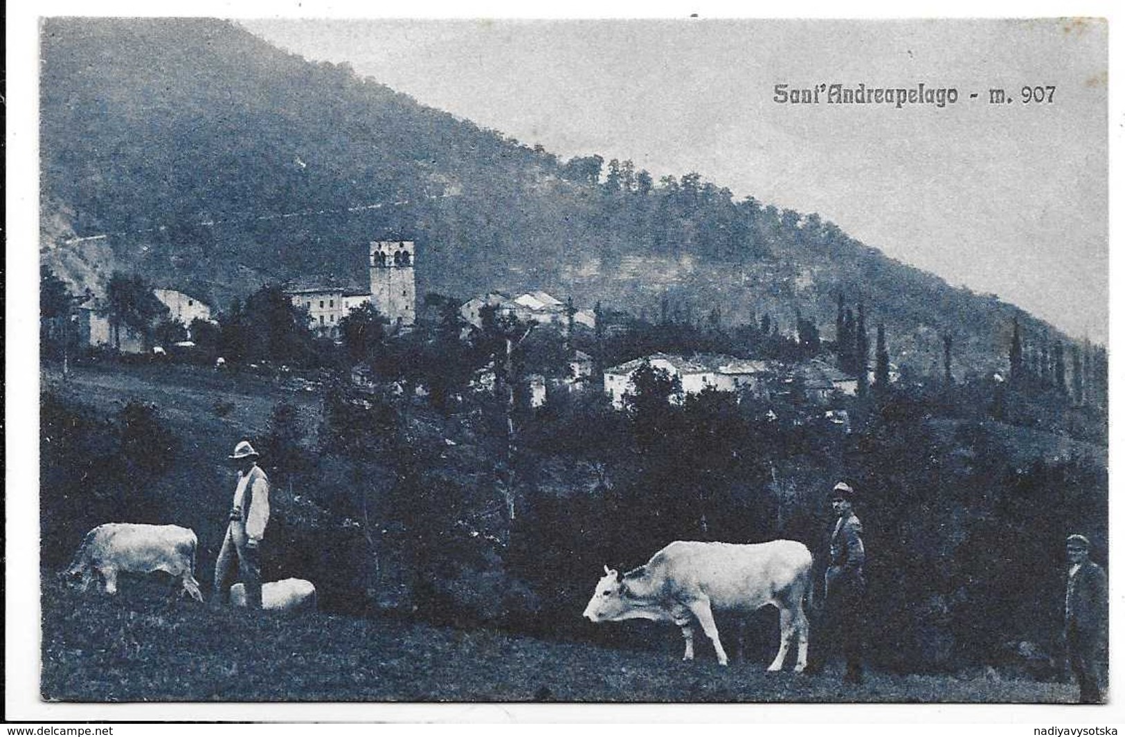 Sant'Andrea Pelago Di Pievepelago (Modena). Veduta - Mucche Al Pascolo. - Modena