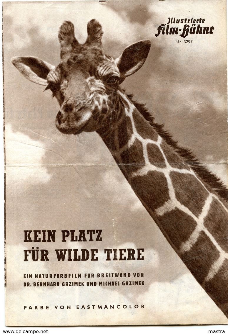 BAMBUTI - NO PLACE FOR WILD ANIMALS 1956 By GRZIMEK Original German Film Program - Film & TV