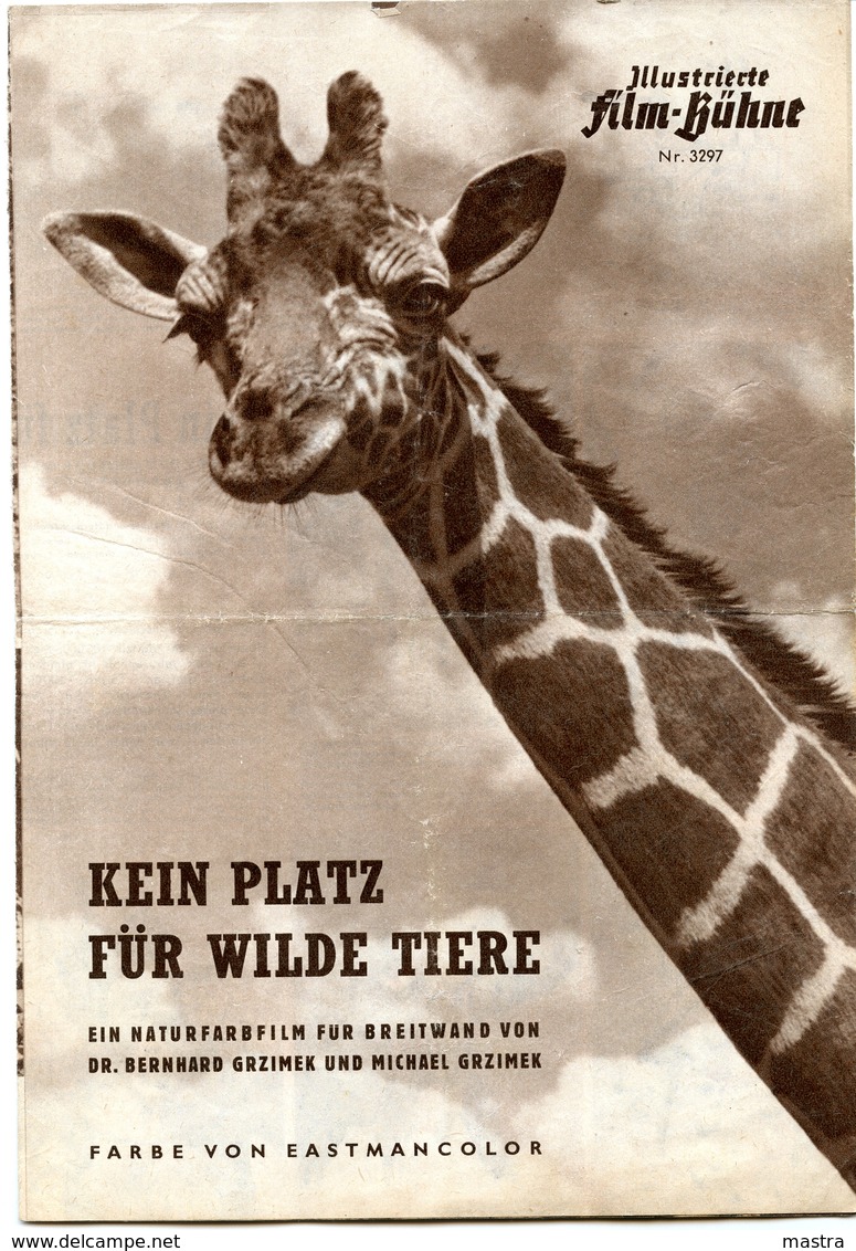 BAMBUTI - NO PLACE FOR WILD ANIMALS 1956 By GRZIMEK Original German Film Program - Films & TV