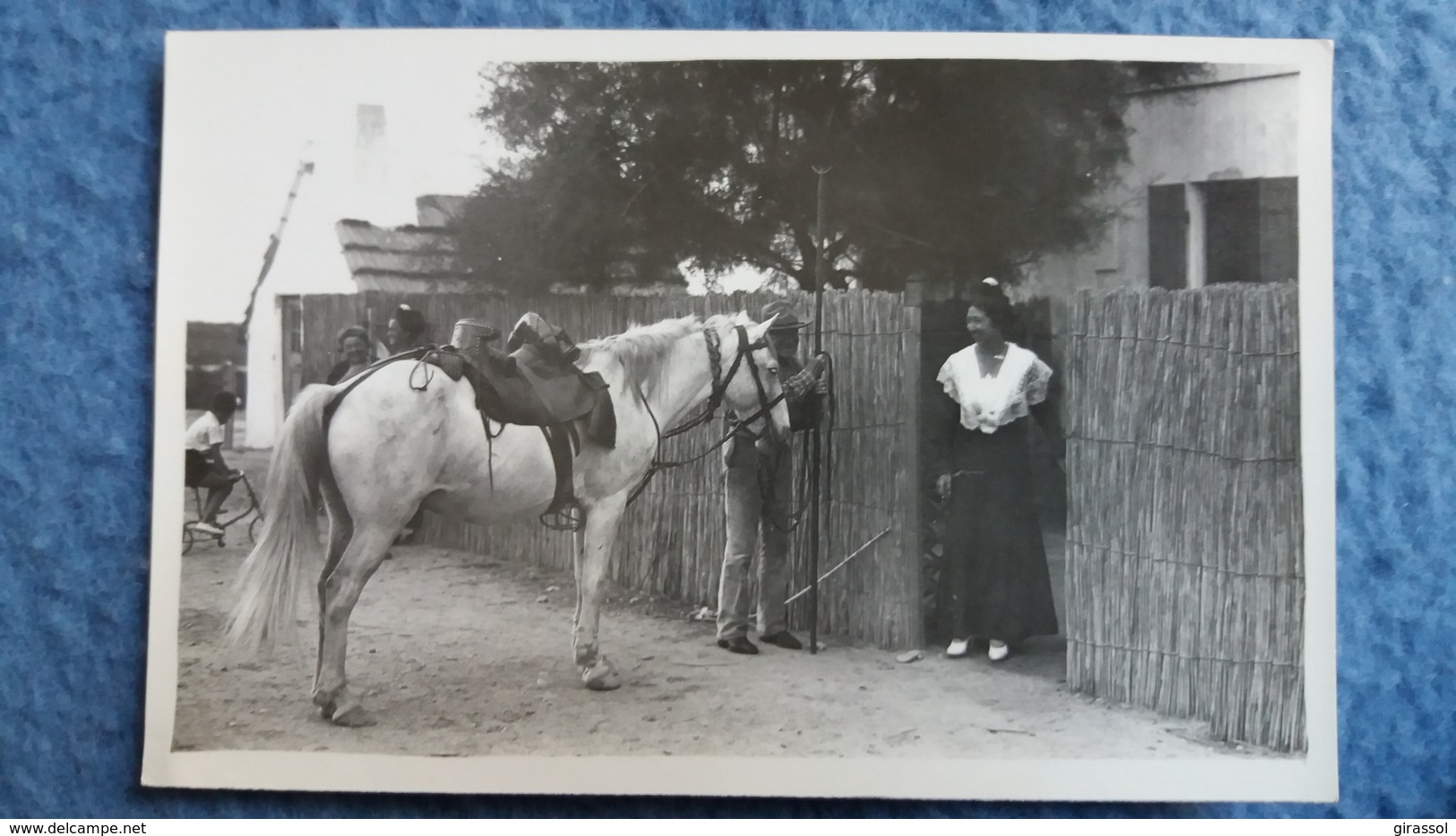 CPSM CHEVAL CAMARGUAIS GARDIAN CABANE ARLESIENNE  PHOTO GEORGE ARLES - Horses