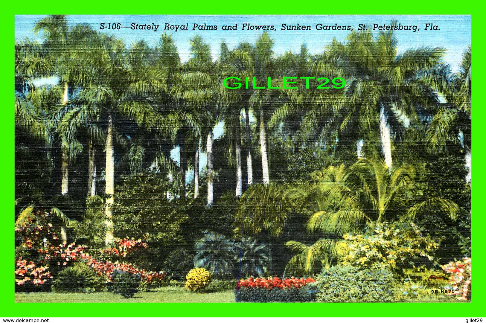 ST PETERSBURG, FL - STATELY ROYAL PALMS & FLOWERS, SUNKEN GARDENS - SUN NEWS CO - - St Petersburg