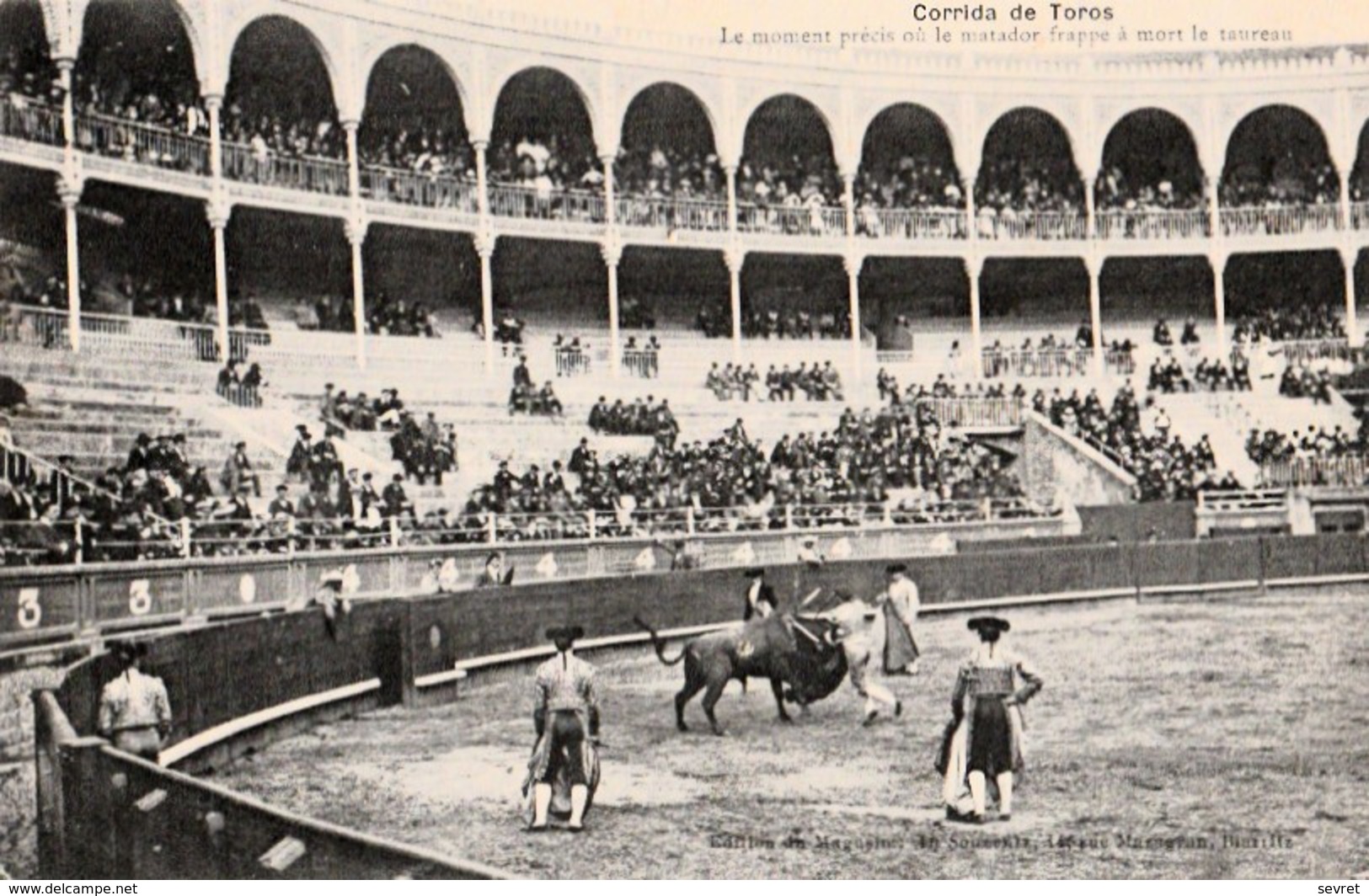 CORRIDA DE TOROS   -  Le Moment Précis Où Le Matador Frappe à Mort Le Taureau . - Corridas