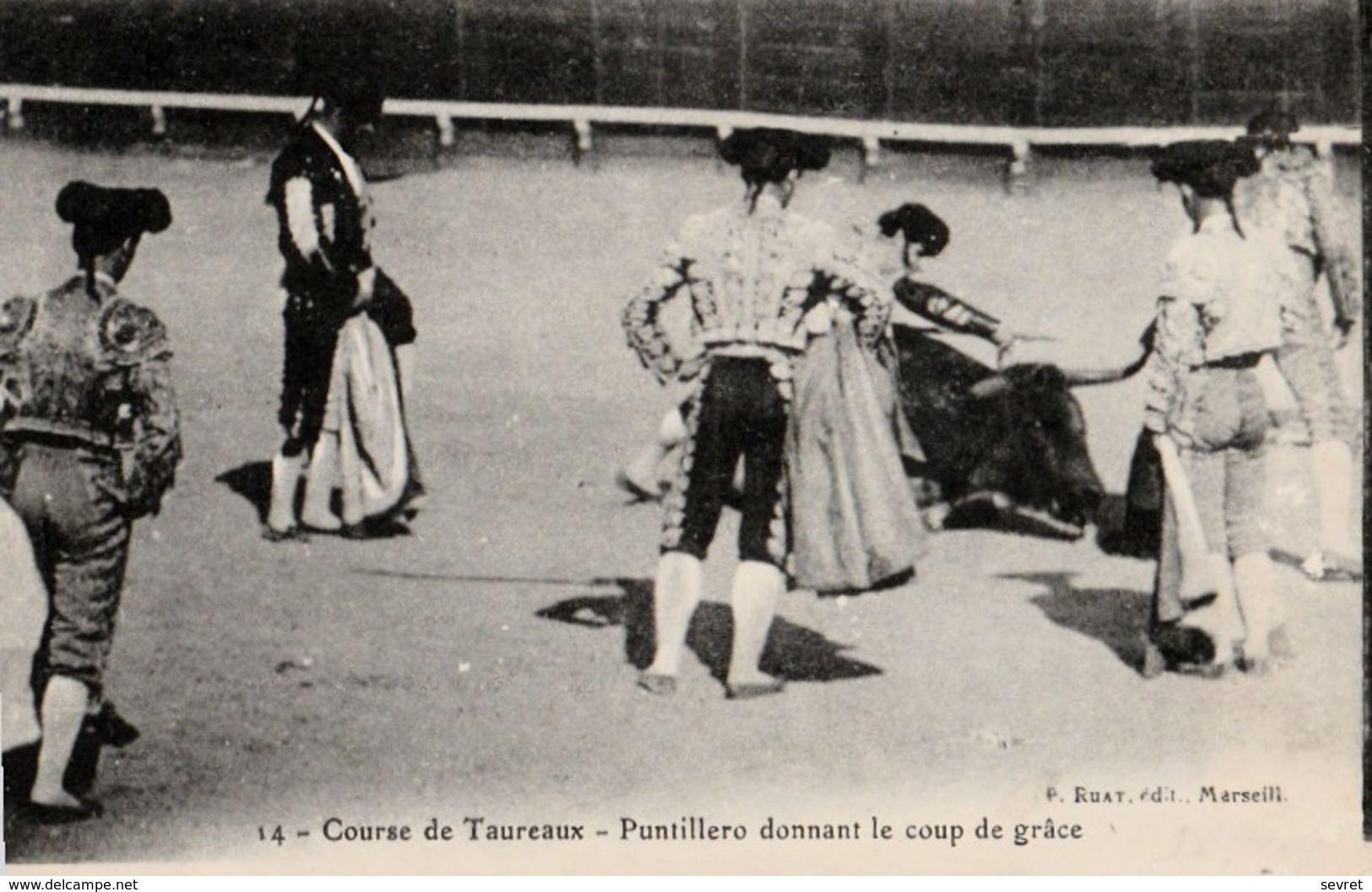 COURSE DE TAUREAUX - Puntillero Donnant Le Coup De Grâce - Corridas