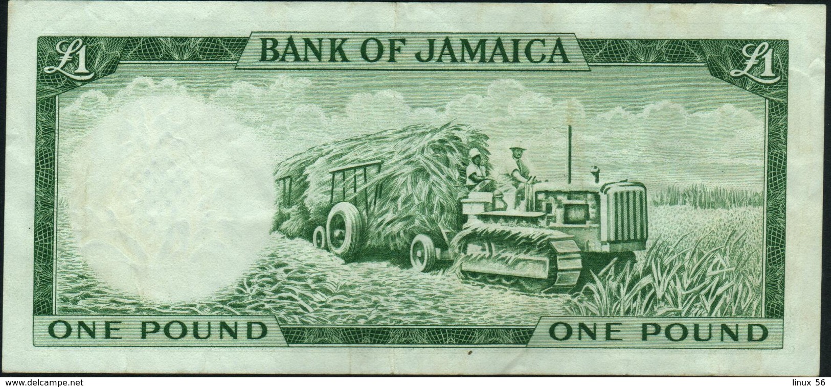 JAMAICA - 1 Pound L.1960 (1964) VF P.51 Ca - Jamaica