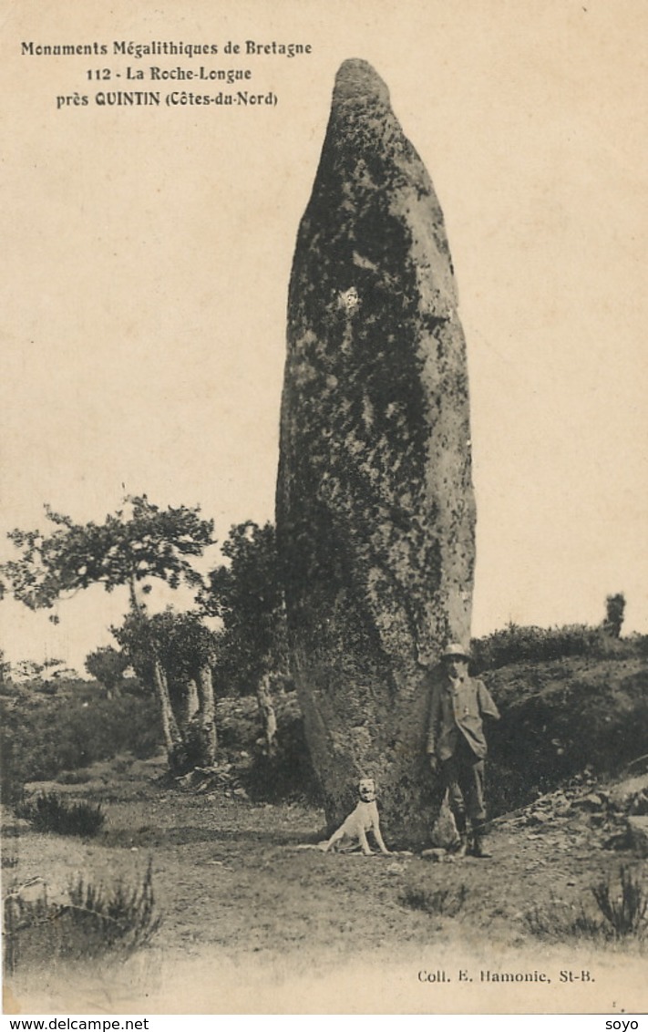 Megalithe à La Roche Longue Menhir Près Quintin - Dolmen & Menhirs