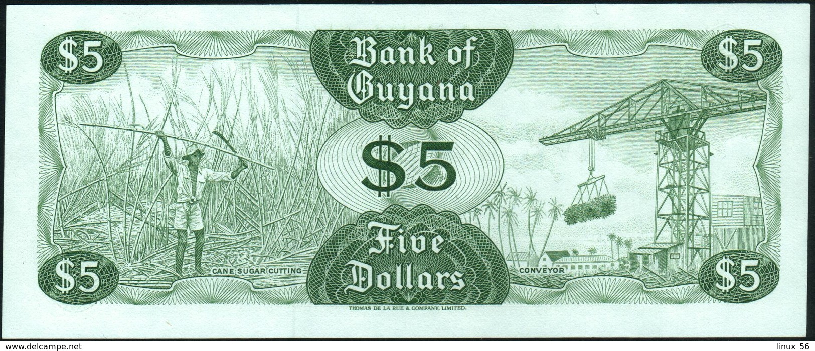 GUYANA - 5 Dollars Nd.(1966-1992) UNC P 22 E - Guyana