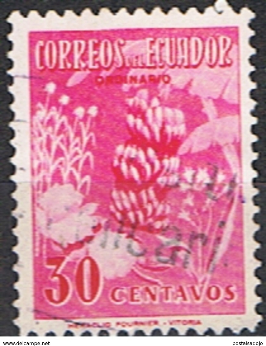 EQUATEUR 16 // YVERT 584 // 1954 - Equateur