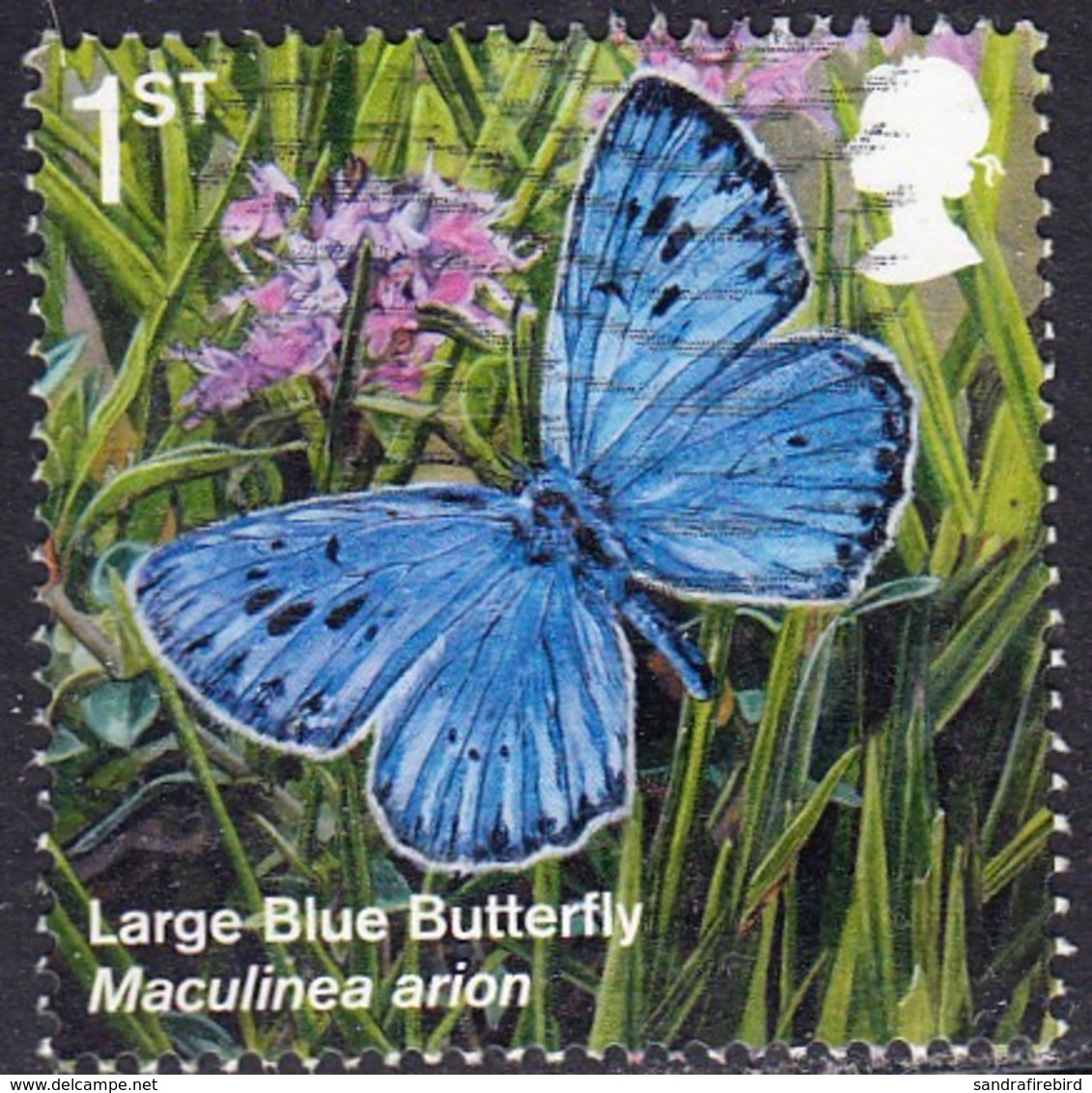 2018 GB     Reintroduced Species -  Large Blue Butterfly (Maculinea Arion)  1st  SG 4075Used - Used Stamps