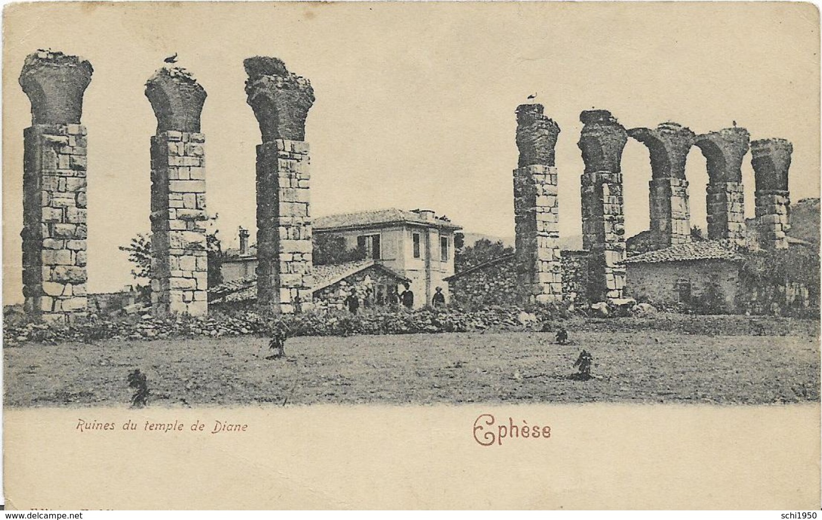 ~  JP  ~   EPHESE   ~   Ruines Du Temple De DIANE   ~ - Turquie