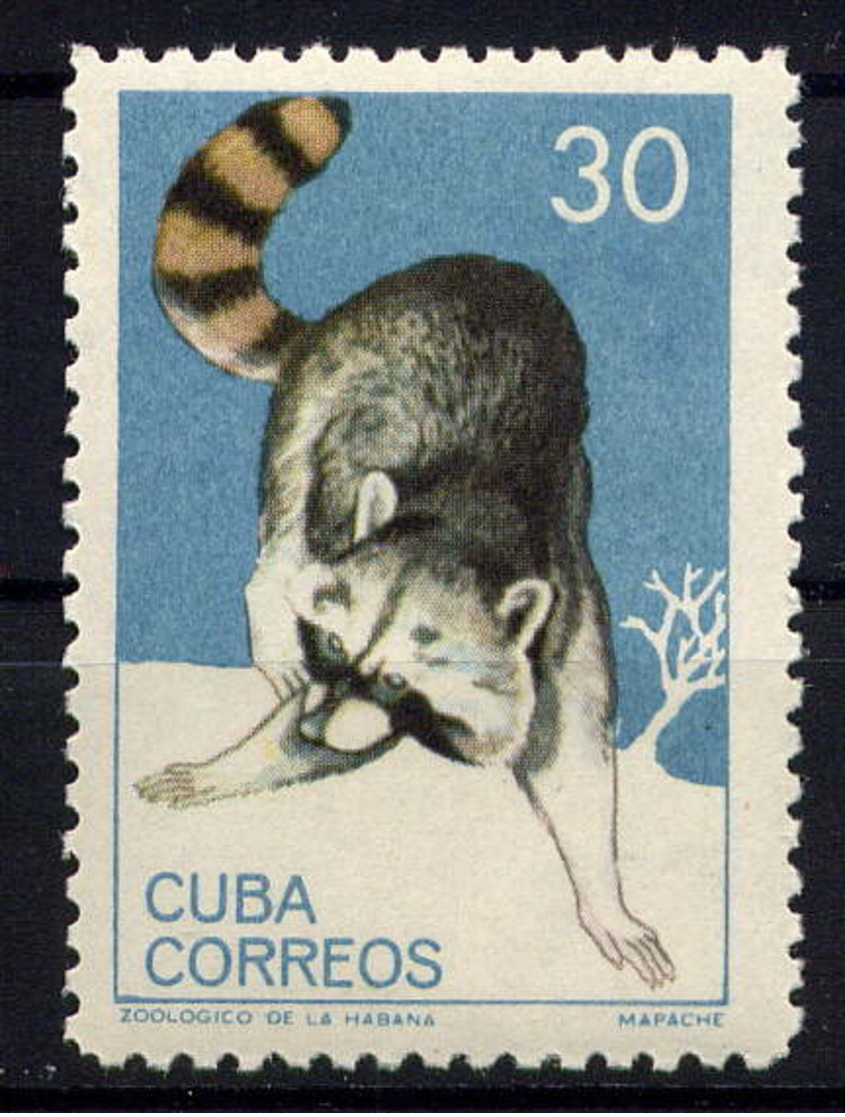 CUBA - 780** - RATON LAVEUR - Ongebruikt