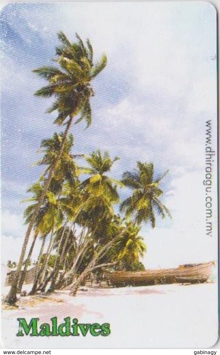 MALDIVES - PALM TREE - Maldiven