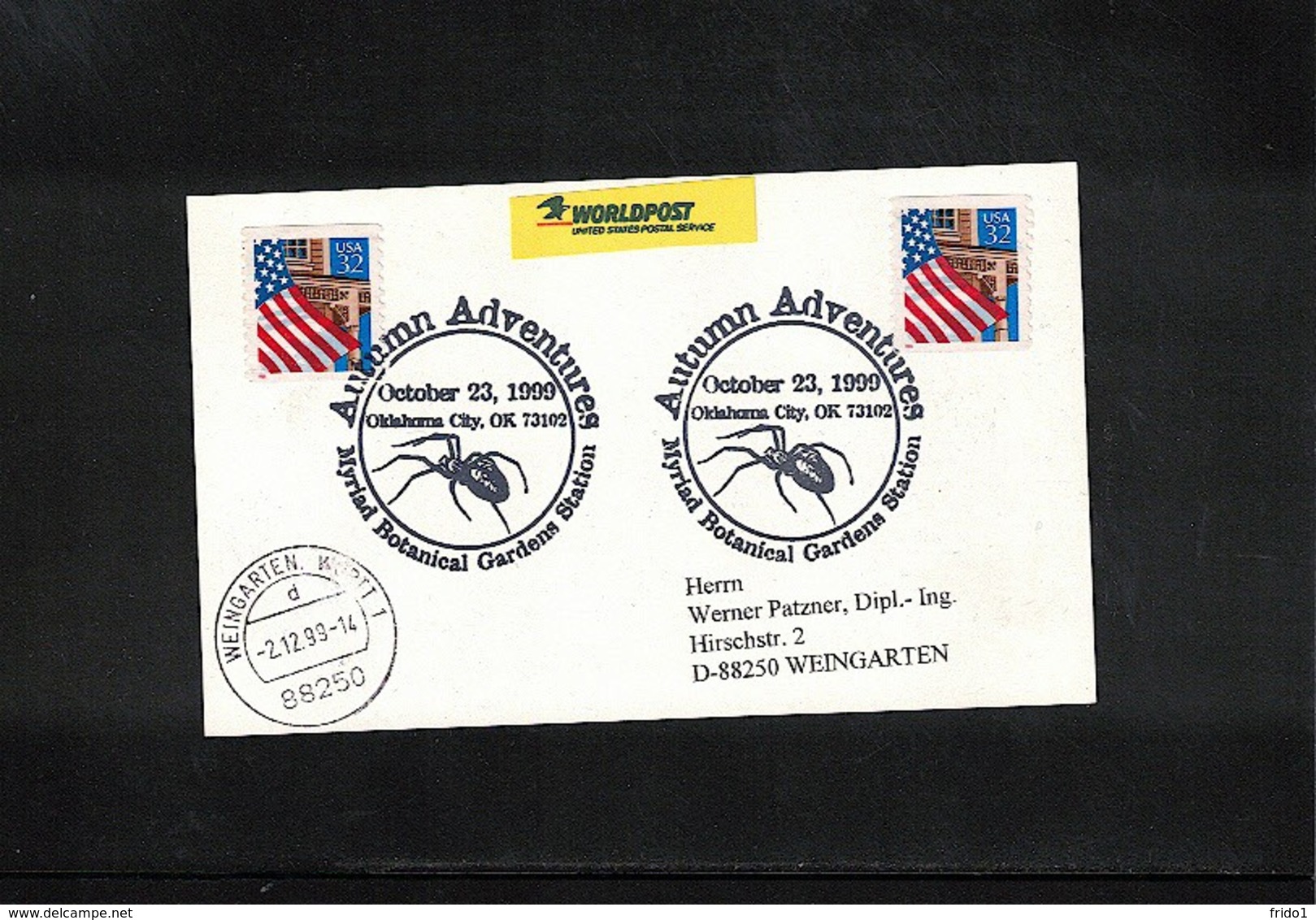USA 1999 Spider Interesting Postmark - Spiders