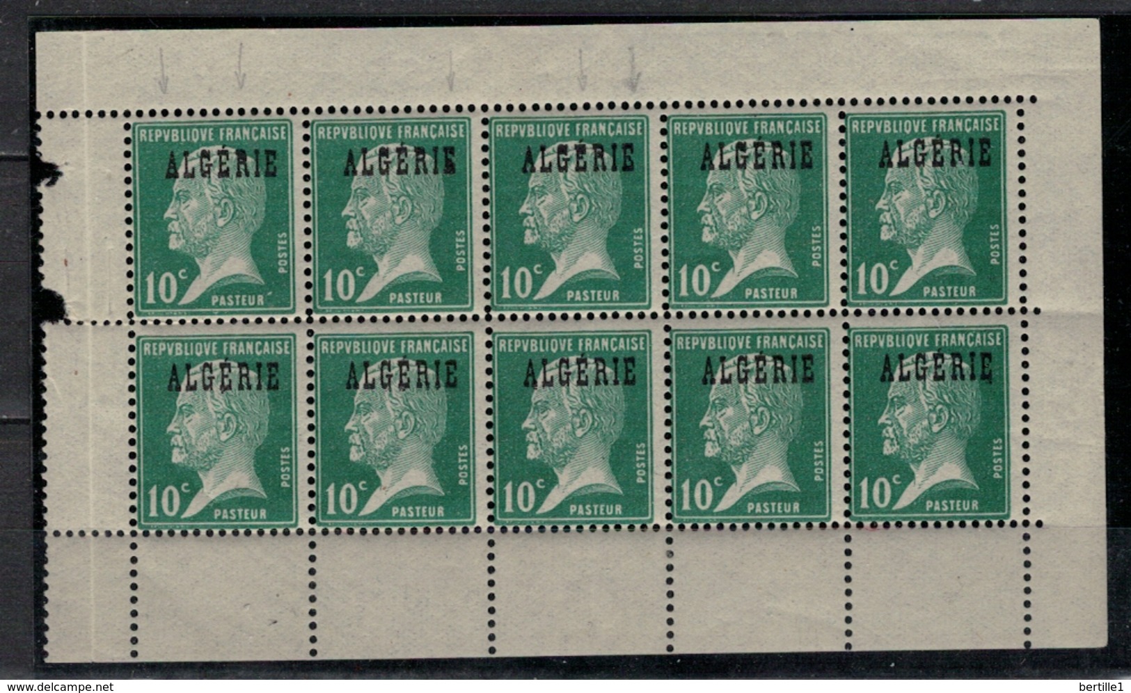 ALGERIE            N°  YVERT     9 X 10   NEUF SANS  CHARNIERE      ( Nsch  1/29 ) - Neufs