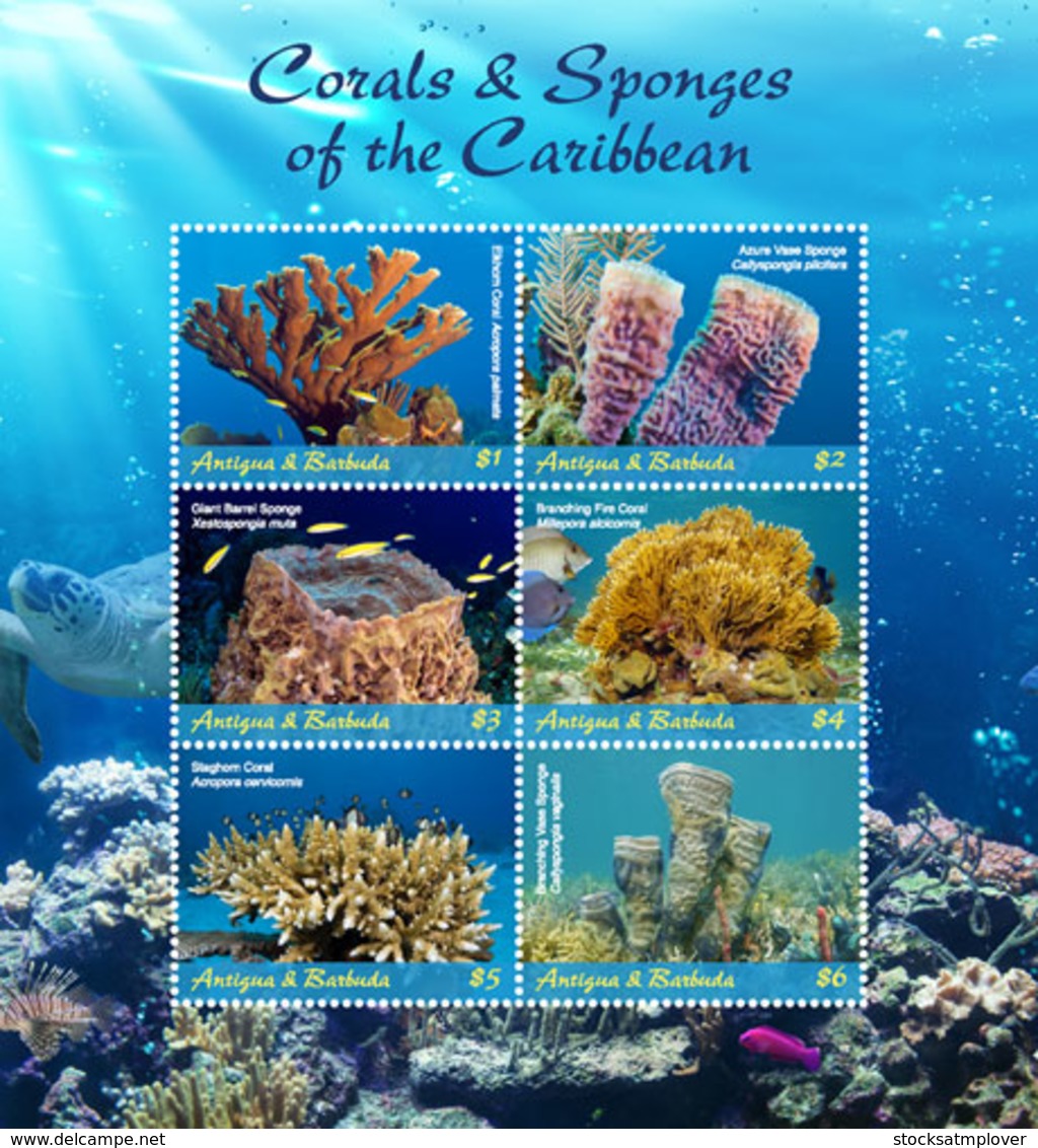 Antigua And Barbuda  2018  CORALS AND SPONGES OF THE CARIBBEAN SHEETLET   I201901 - Antigua And Barbuda (1981-...)