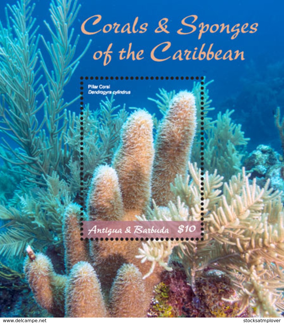 Antigua And Barbuda  2018  CORALS AND SPONGES OF THE CARIBBEAN   I201901 - Antigua And Barbuda (1981-...)