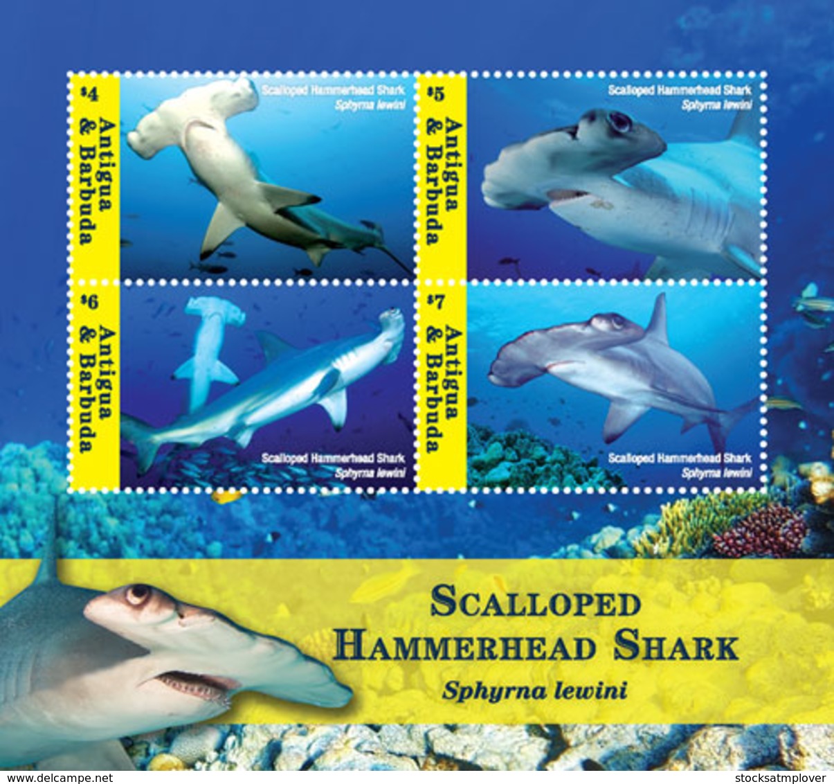 Antigua And Barbuda  2018  Scalloped Hammerhead Shark   I201901 - Antigua En Barbuda (1981-...)