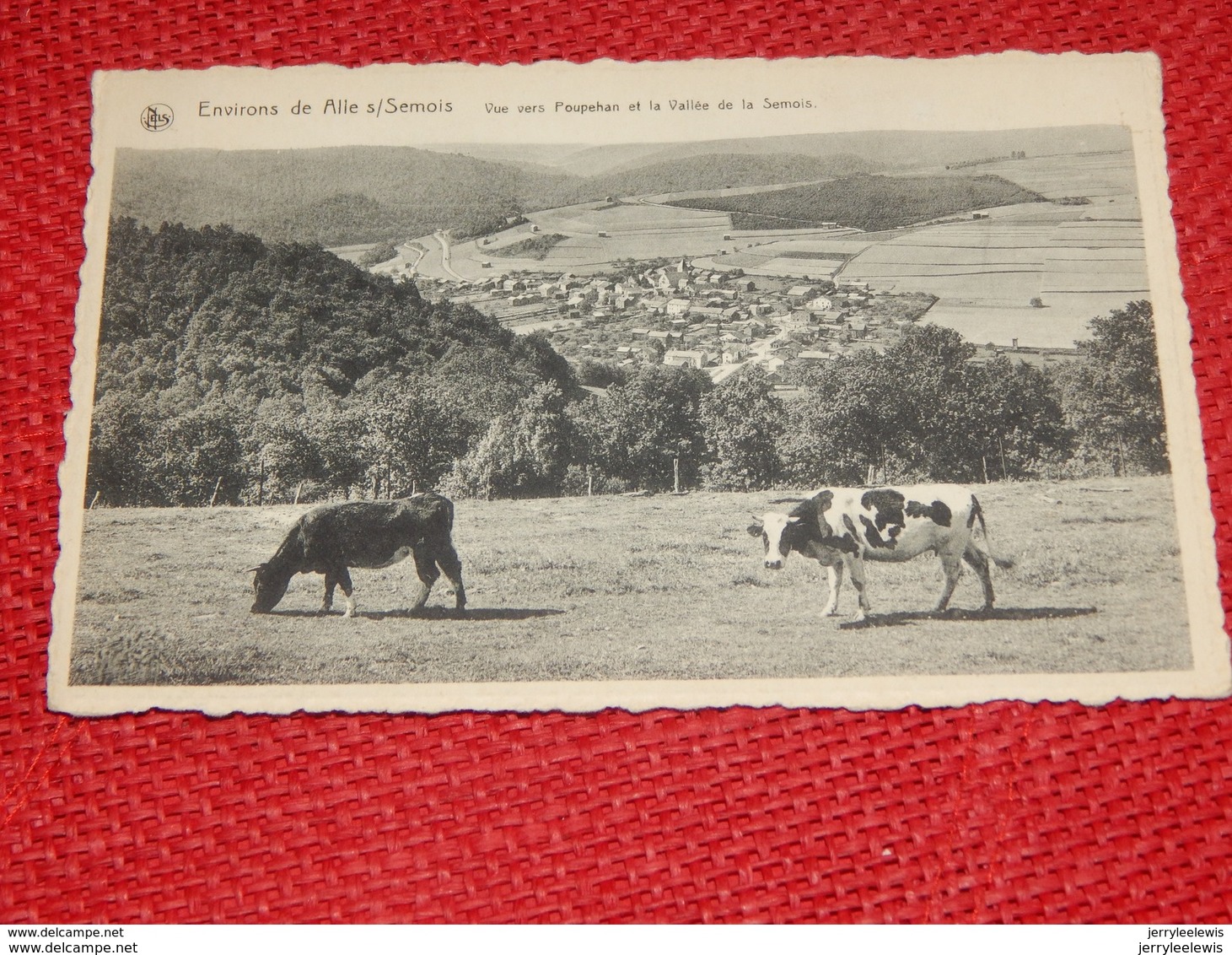 ALLE Sur SEMOIS (environs)   -  Vue Vers Poupehan Et La Vallée De La Semois - Vresse-sur-Semois