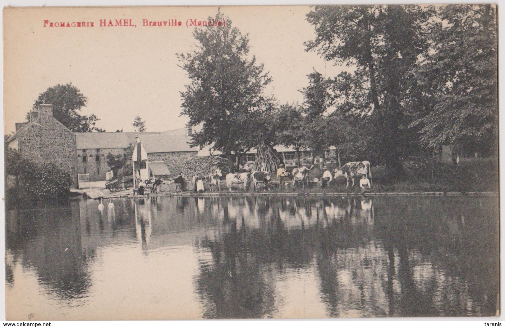 BREUVILLE - Fromagerie HAMEL - METIER, ARTISANAT, ALIMENTATION, AGRICULTURE, ELEVAGE  - CPA TBon Etat (voir Scan) - Autres & Non Classés