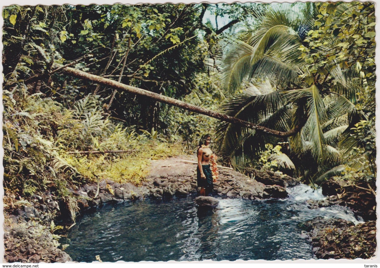 TAHITI - Sous-bois Polynésien - COSTUME, FOLKLORE, CHARME, NU - CPM TBon Etat (voir Scan) - French Polynesia