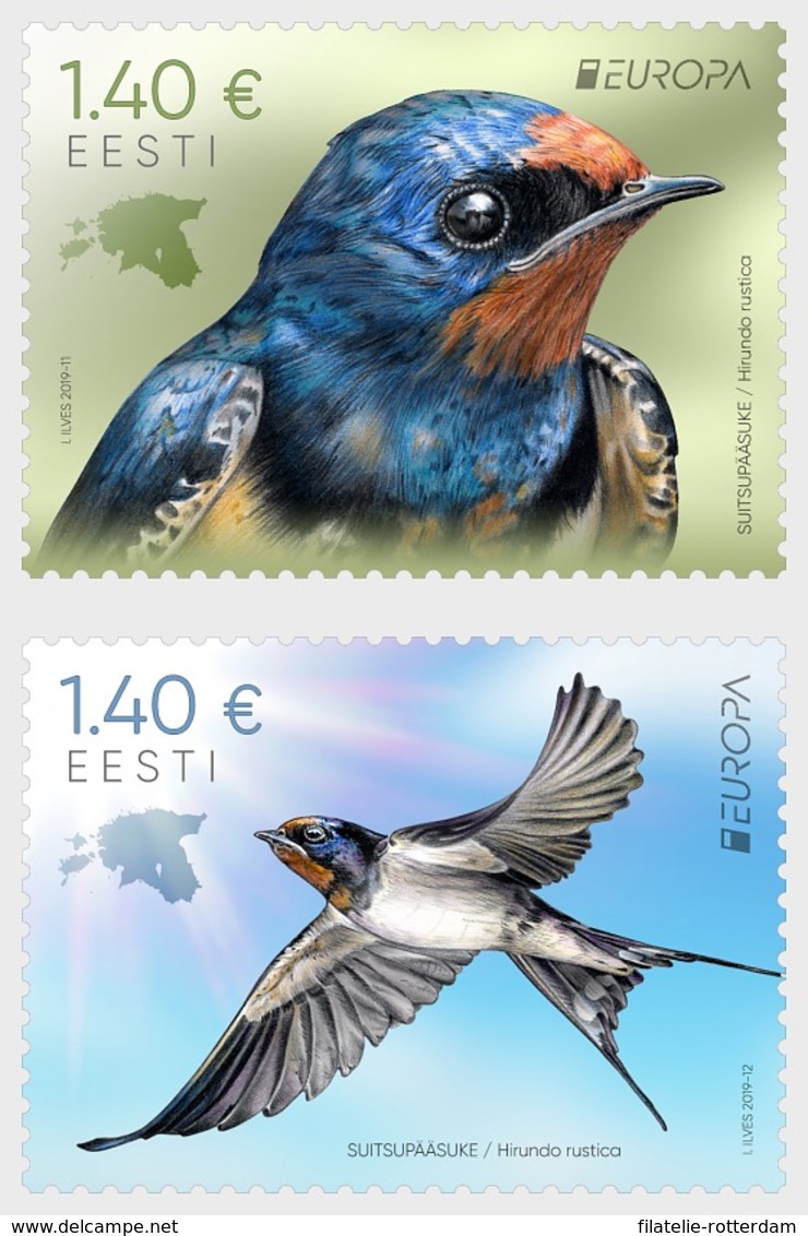 Estland / Estonia - Postfris/MNH - Complete Set Europa, Vogels 2019 - Estland