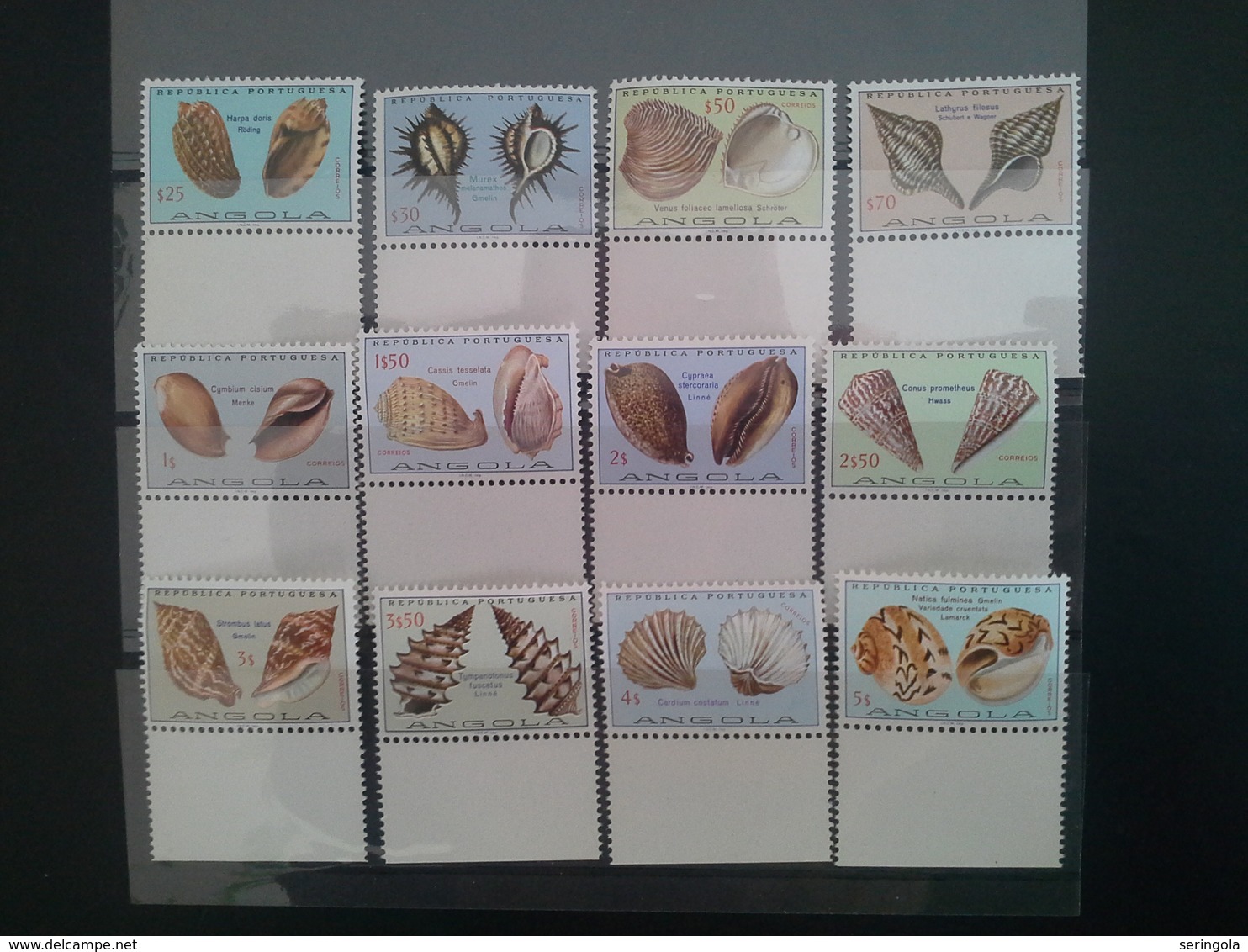 Lot Stamps Angola Portuguesa "SEASHELLS" 1974** CV.30 € - Sammlungen (ohne Album)
