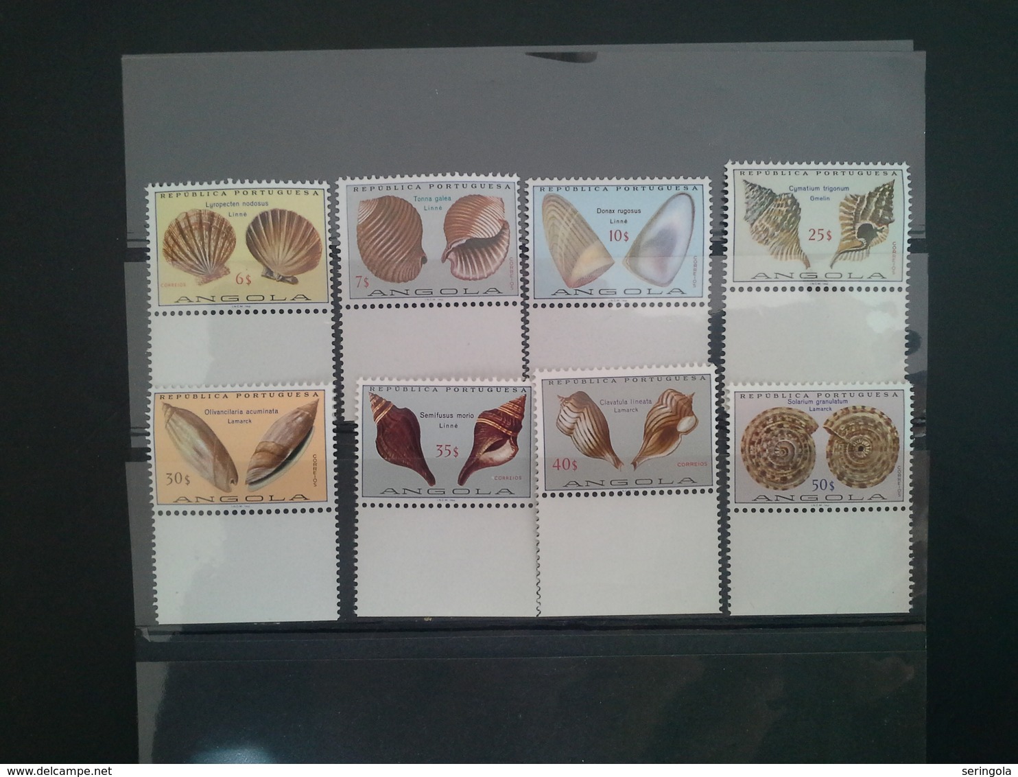 Lot Stamps Angola Portuguesa "SEASHELLS" 1974** CV.30 € - Sammlungen (ohne Album)