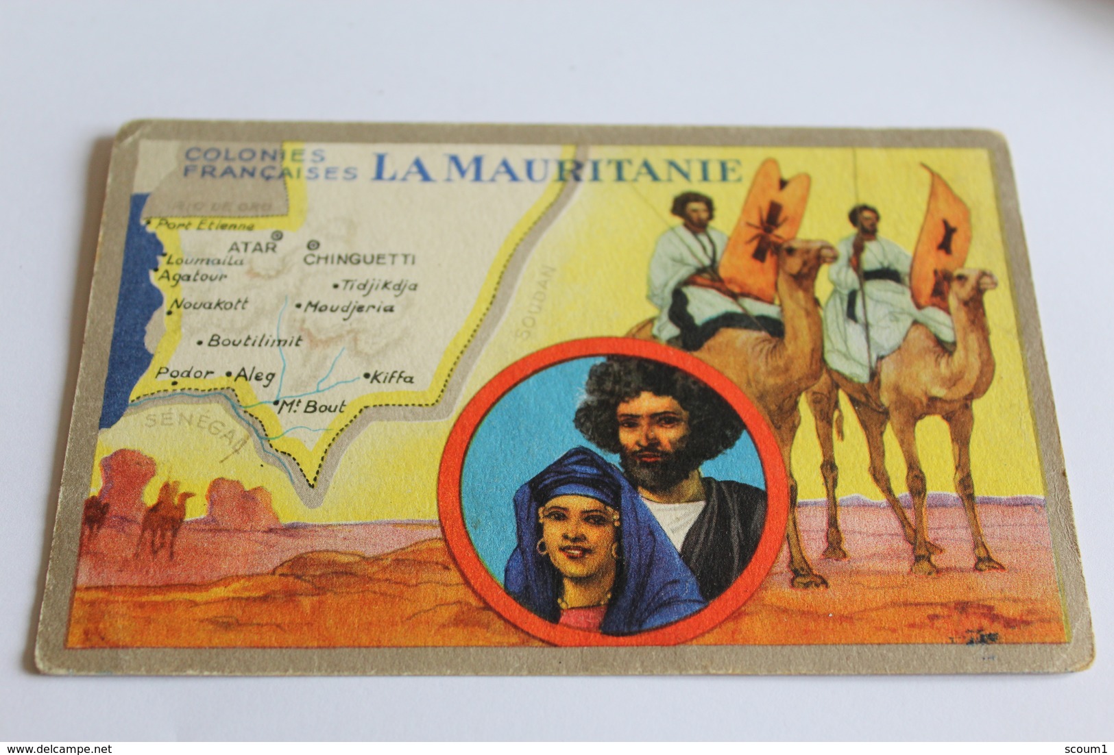 Colonies Francaises MAURITANIE  Edit Speciale Des Produits Lion  Noir - Mauritanie