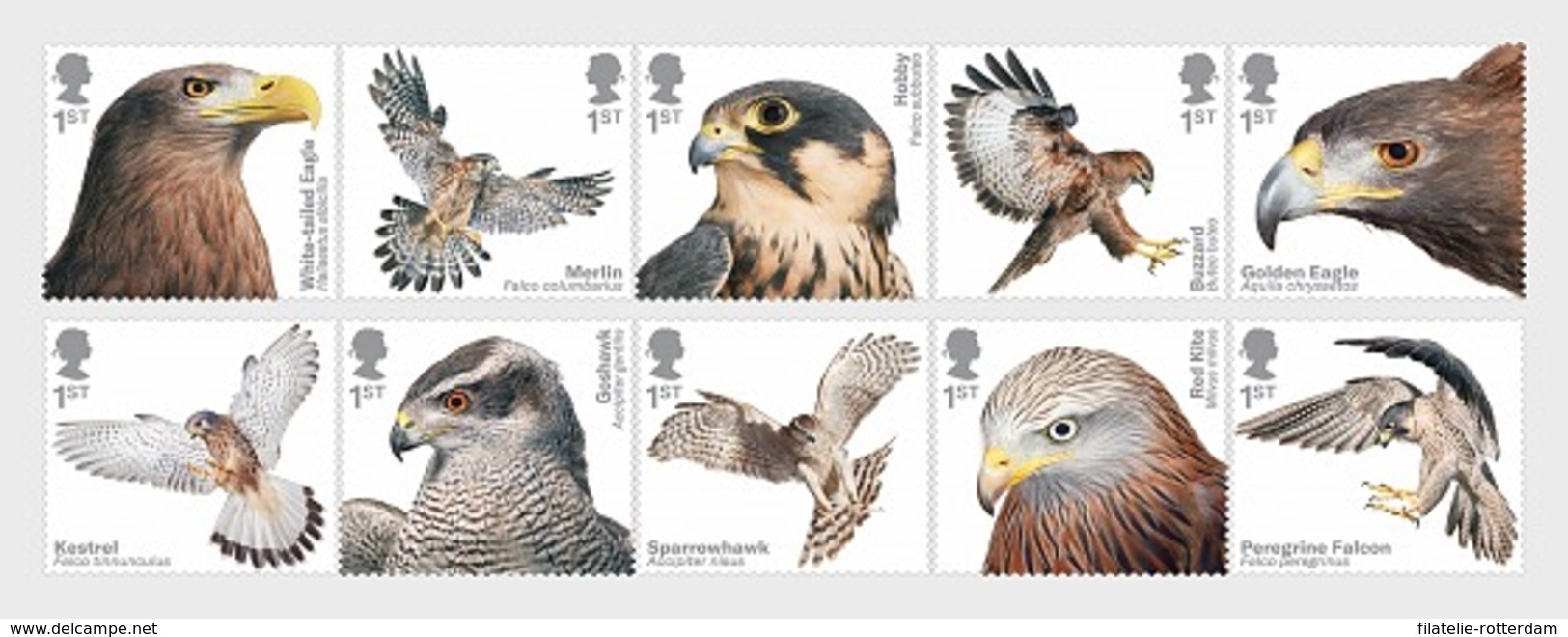 Groot-Brittannië / Great Britain - Postfris/MNH - Complete Set Roofvogels 2019 - Ongebruikt