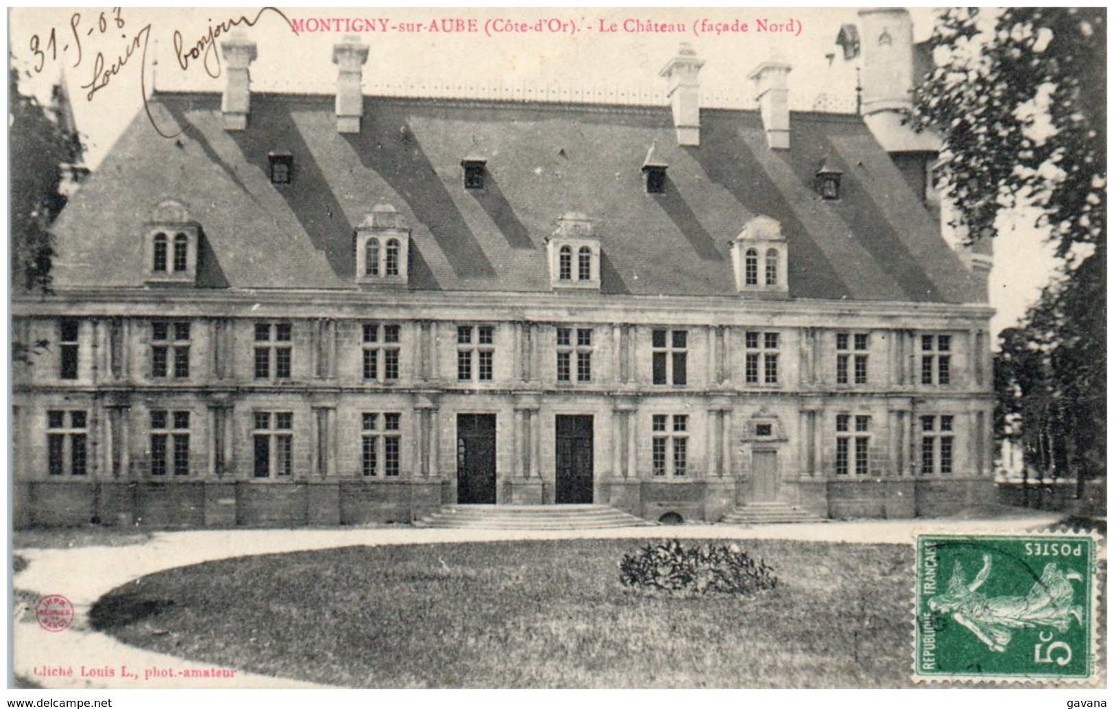 21 MONTIGNY-sur-AUBE - Le Chateau - Autres & Non Classés