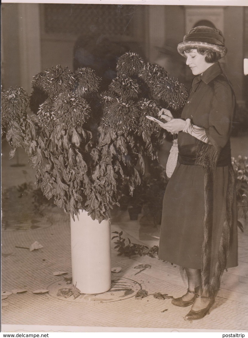 Society Women Exhibit Own Flowers Botánica Botany Botanique Botanik Fonds Victor FORBIN (1864-1947) - Otros & Sin Clasificación